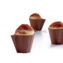 PC Chocolate Mold GU005